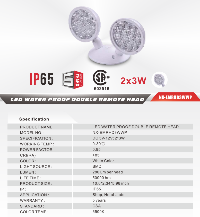NEXLEDS LED Waterproof Double Remote Head 3Wx2