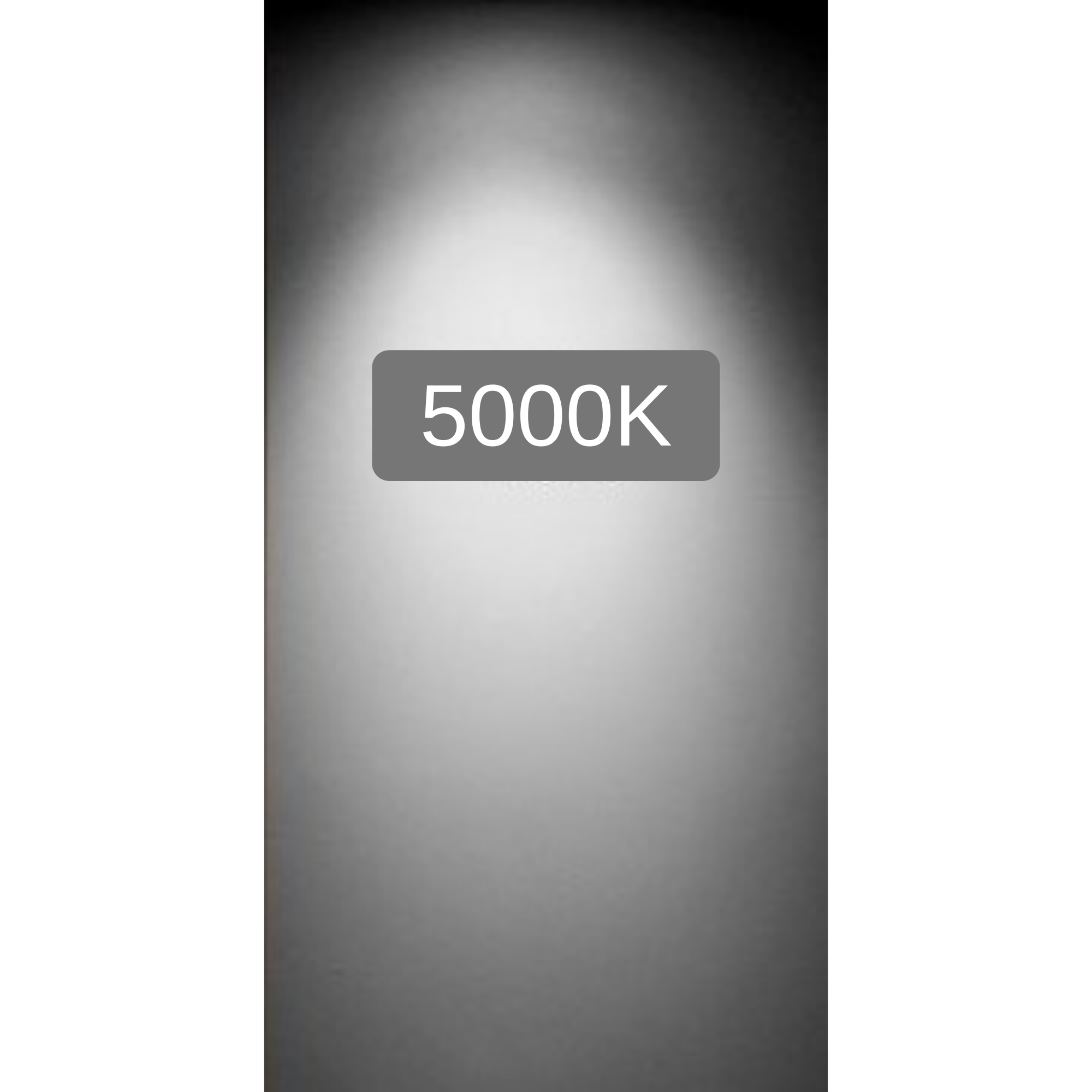 DawnRay LED GU10, 6.5W, 500 Lumens, 3000K/5000K,Warm White/Cool White, Dimmable ,3 Years Warranty