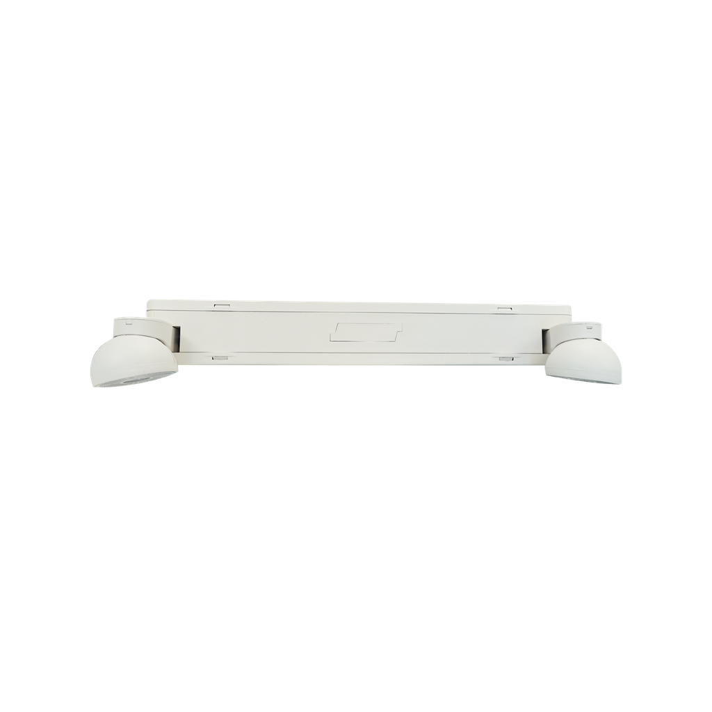 Reno Lighting LED RUNNING MAN COMBO | 120MINS BATTERY BACK UP | 120/277/347VAC | 2 x 2W HEADS | NI-CAD BATTERY
