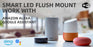 Dawnray 14" Smart Led Flush mount Ceiling Light RGB, Brushed Nickel, Work With Amazon Alexa & Google Assisdant