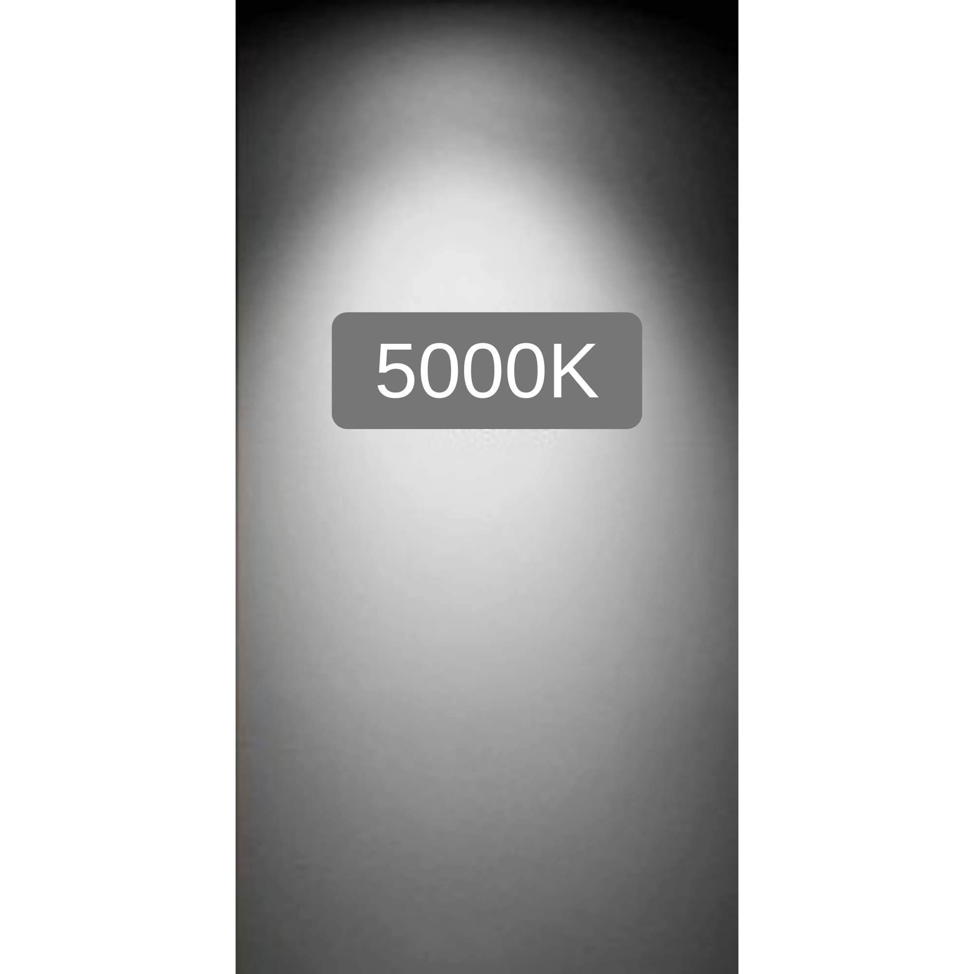 DawnRay LED PAR20, 7W, 500 Lumens, 3000K/5000K, Warm White/Cool White ,Dimmable ,3 Years Warranty